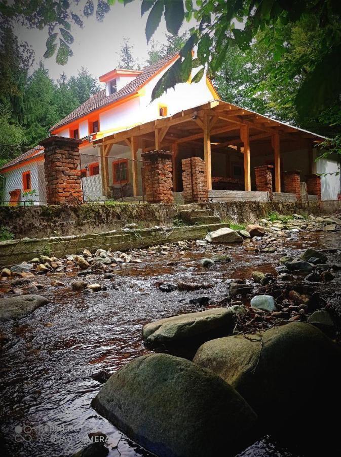 Cabana De Langa Vale Villa Bondoraszó Kültér fotó